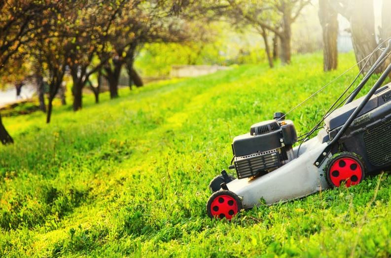 Best Lawn Mower For Steep Hills
