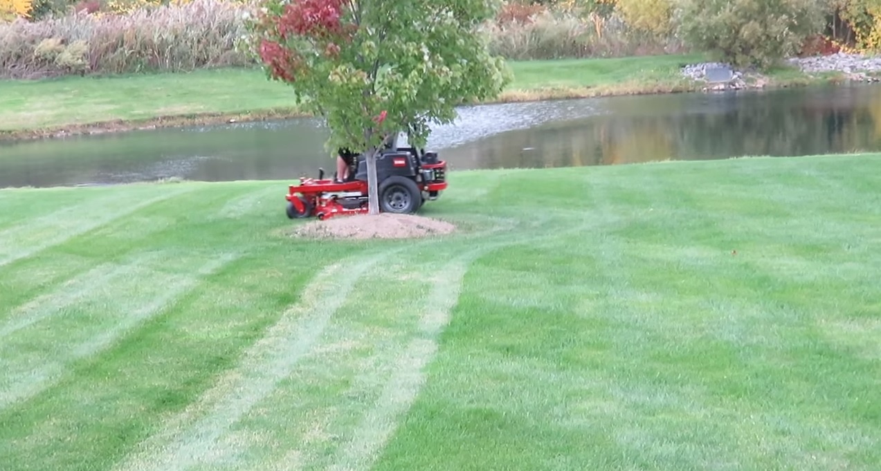 5 Best Zero Turn Mower for 3 Acres [2022 Reviewed] LawnMower Advice